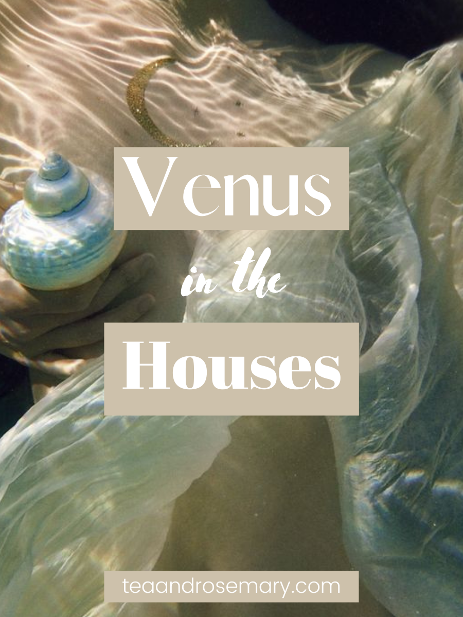 venus in the houses