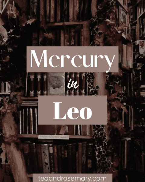 mercury in leo