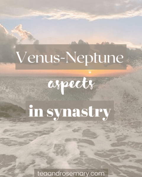venus-neptune aspects in the synastry chart