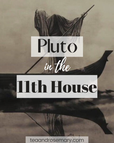 pluto in the 11th house