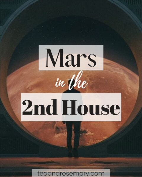 mars in the 2nd house