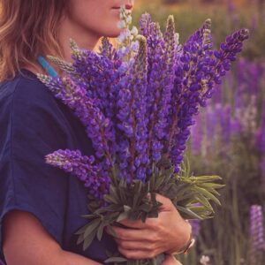 Demeter goddess of the harvest