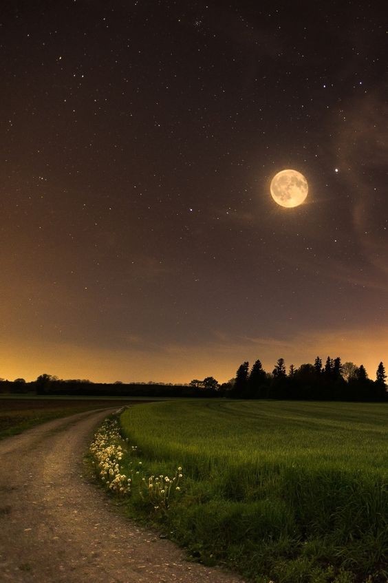 Full Moon Release Examples 12 Full Moon Rituals For Release | Tea & Rosemary