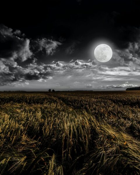 The harvest moon meaning & symbolism
