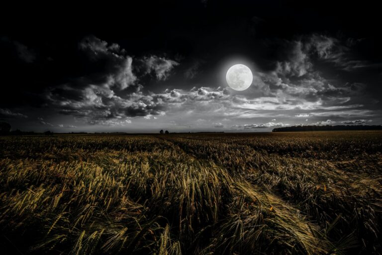 The harvest moon meaning & symbolism