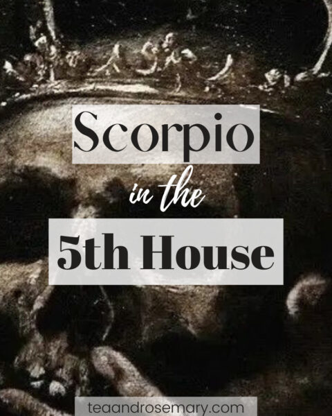 scorpio in the 5th house