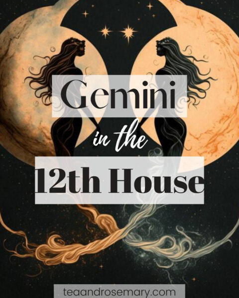 Gemini in the 12th house