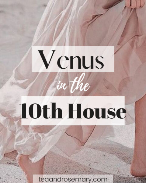 venus in the 10th house