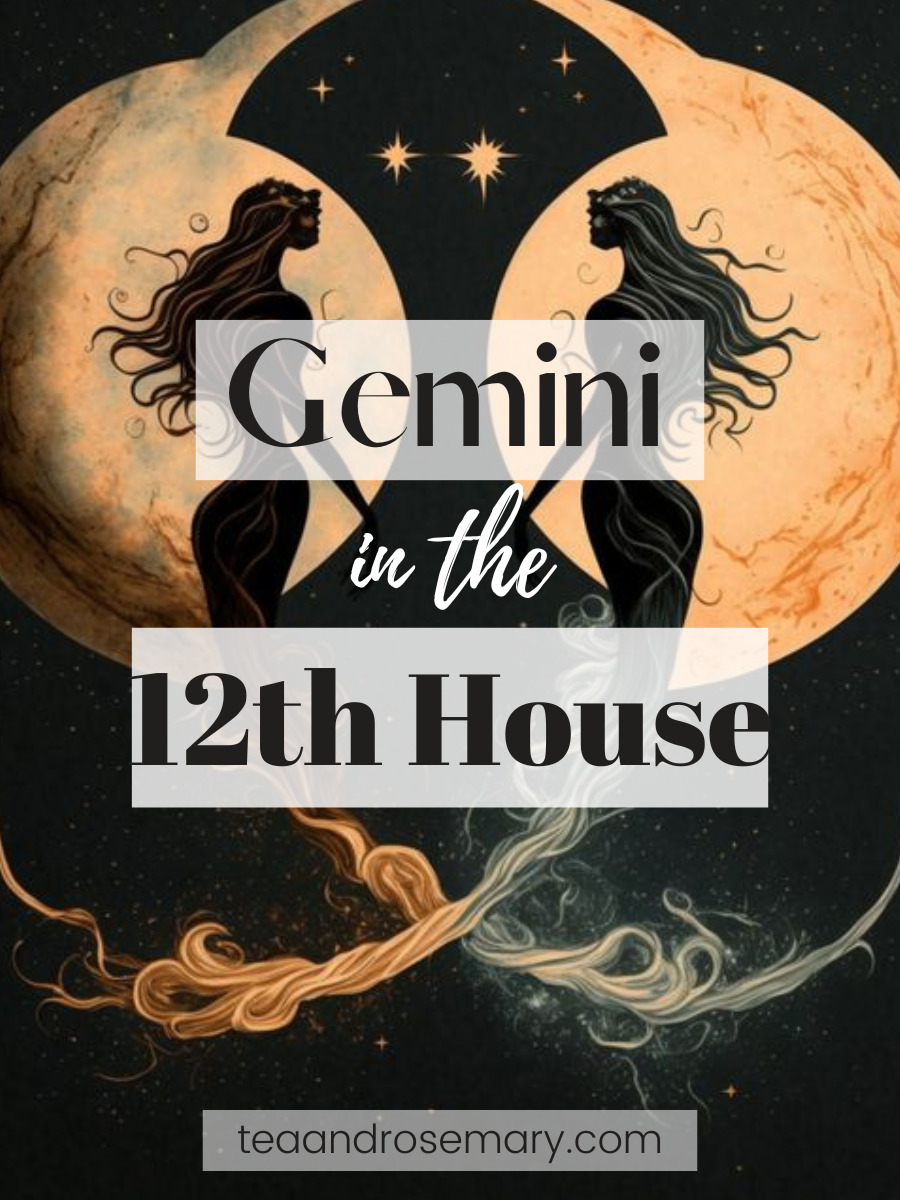 Gemini in the 12th house