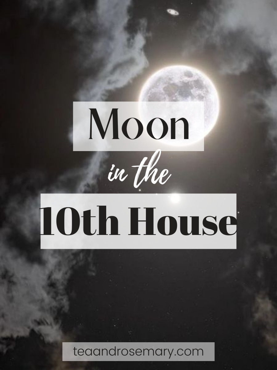 Moon In The 10th House
