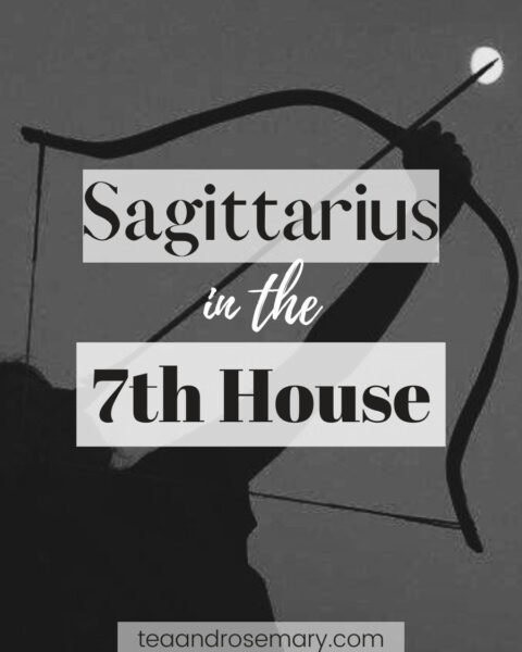 Sagittarius in the 7th house