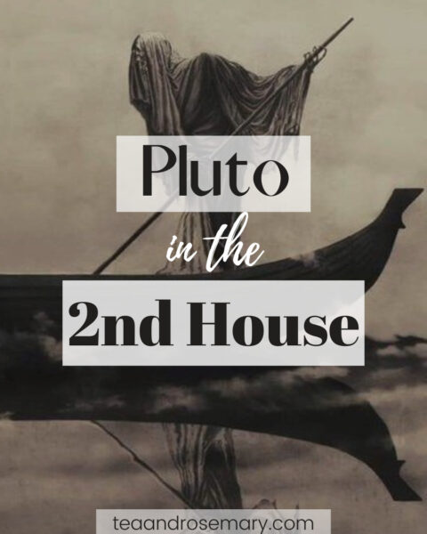 Pluto in the 2nd house