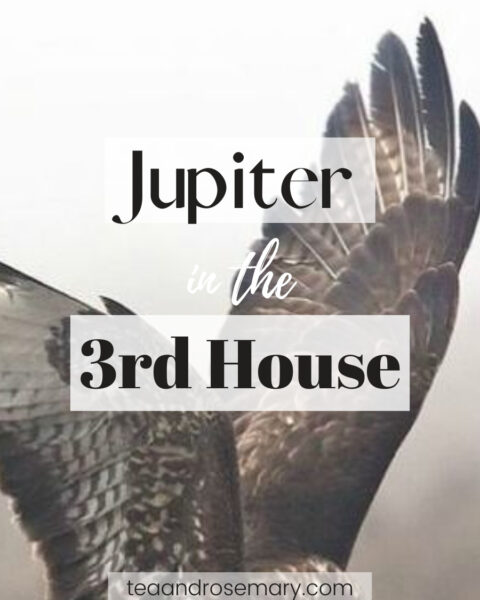 Jupiter In The 3rd House explained