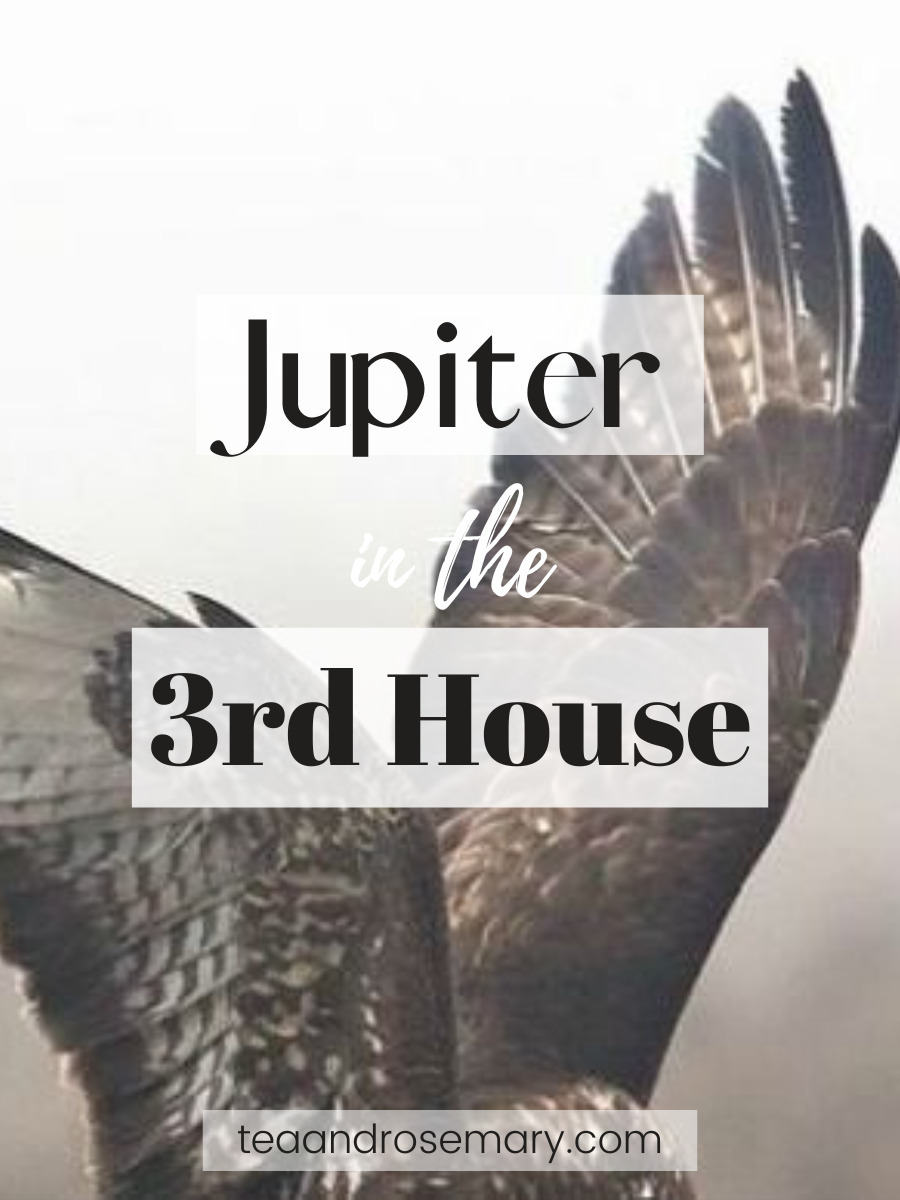 Jupiter In The 3rd House explained