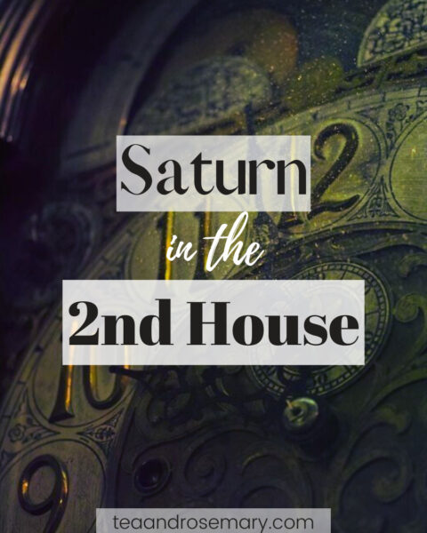 Saturn in the 2nd house