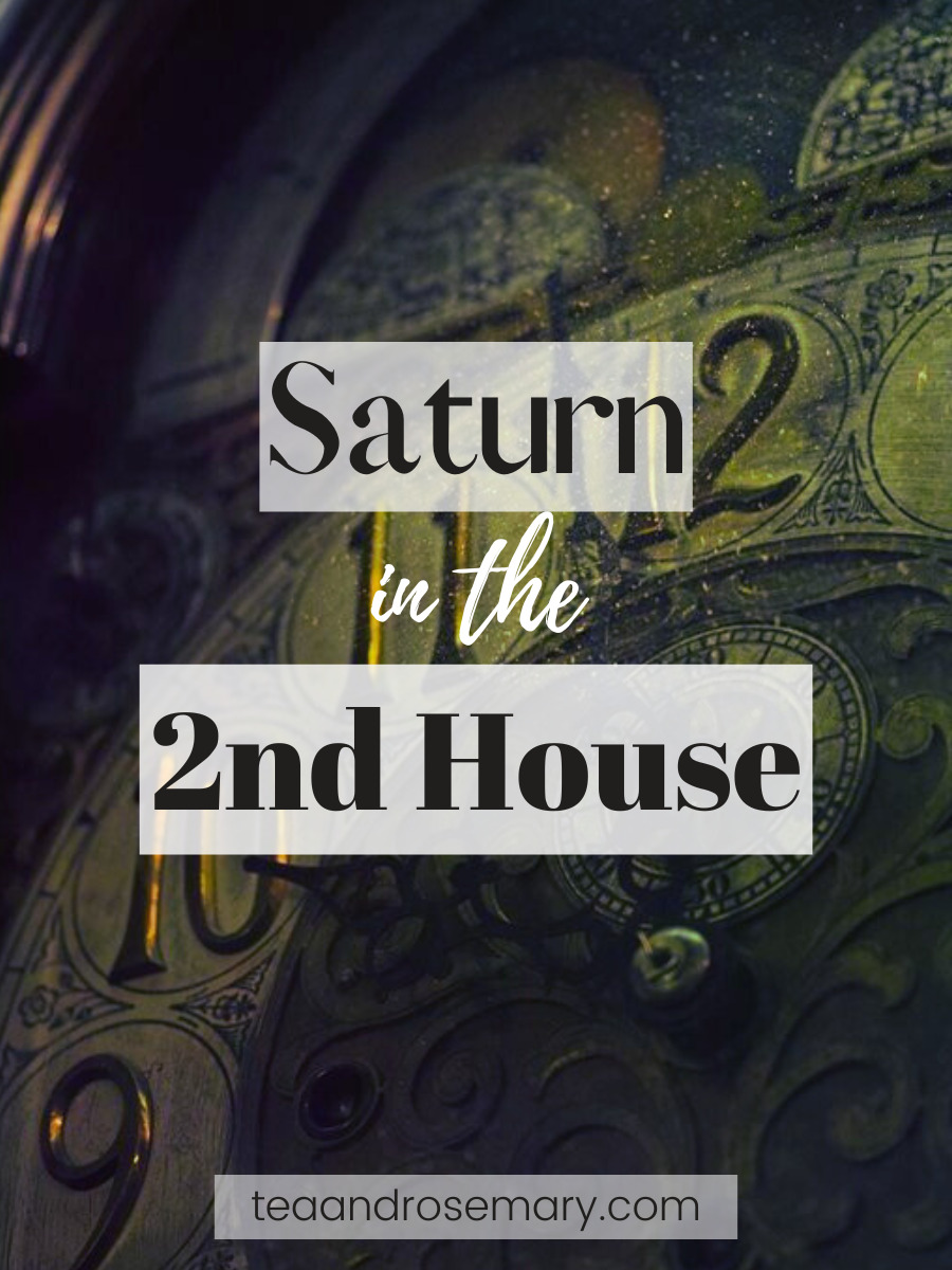 Saturn in the 2nd house