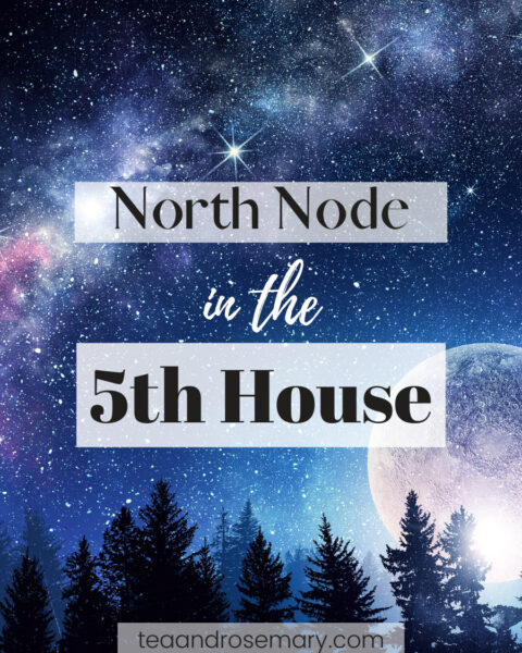 north node in the 5th house, south node in the 11th house