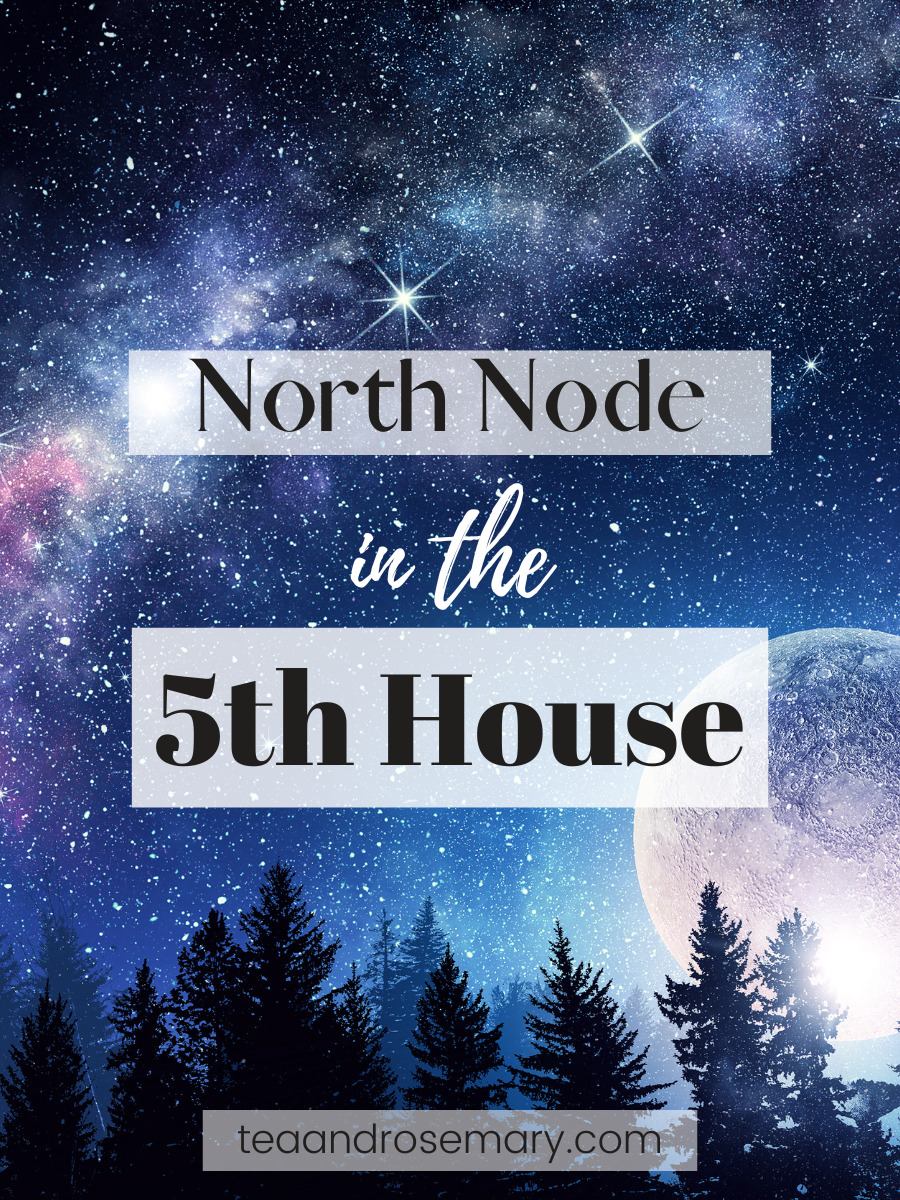 north node in the 5th house, south node in the 11th house