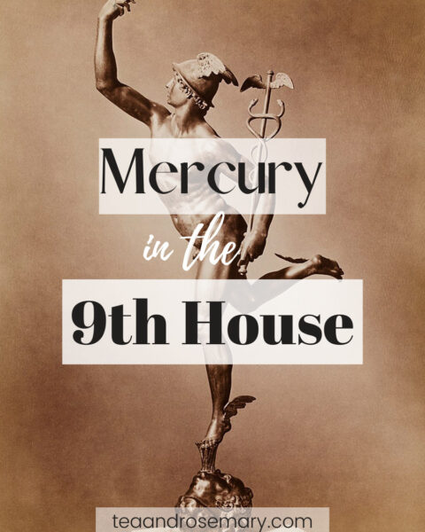 Mercury In The 9th House