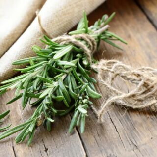 Rosemary has a long history of use in various cultural and traditional practices, including folklore and witchcraft. In different belief systems, herbs like rosemary are often associated with symbolic meanings, magical properties, and ritualistic uses. 

Learn more about Herbalism Profile: Rosemary. Join our Patreon (link in bio)

#rosemary #rosemaryherb #herbalism #herbal #organicherbs #freshherbs #herbalhealing #herbalmagic #witchtips #witchyvibes #witchcrafts⁣ #witchylife #spellcasting #spellcasting #witchtools #spiritualtools #spellcraft #spellwork #witchspells ⁣⁣⁣#magicspells #magickal